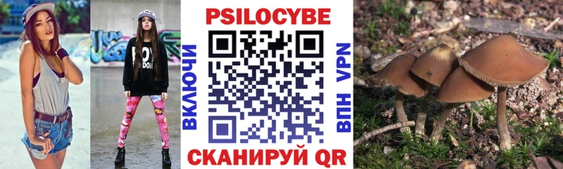 сайты даркнета клад Дубна Псилоцибиновые грибы Psilocybine cubensis